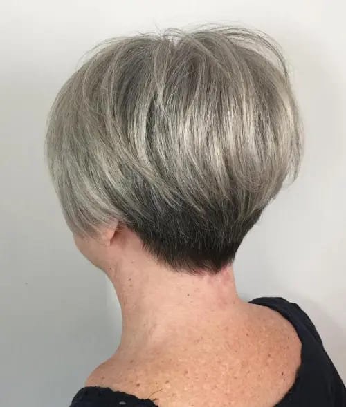 Perfect Tapered Pixie Bob