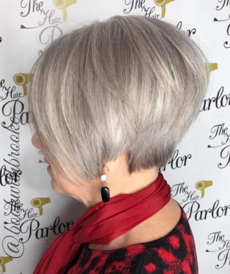 Stacked Gray Pixie Bob